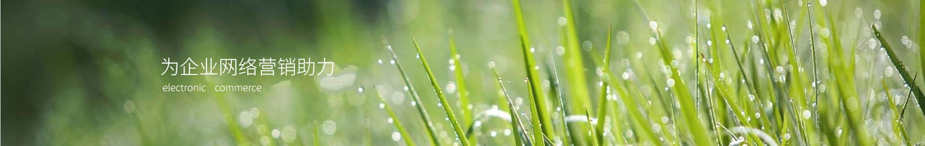ݸ۽ճƼ޹˾